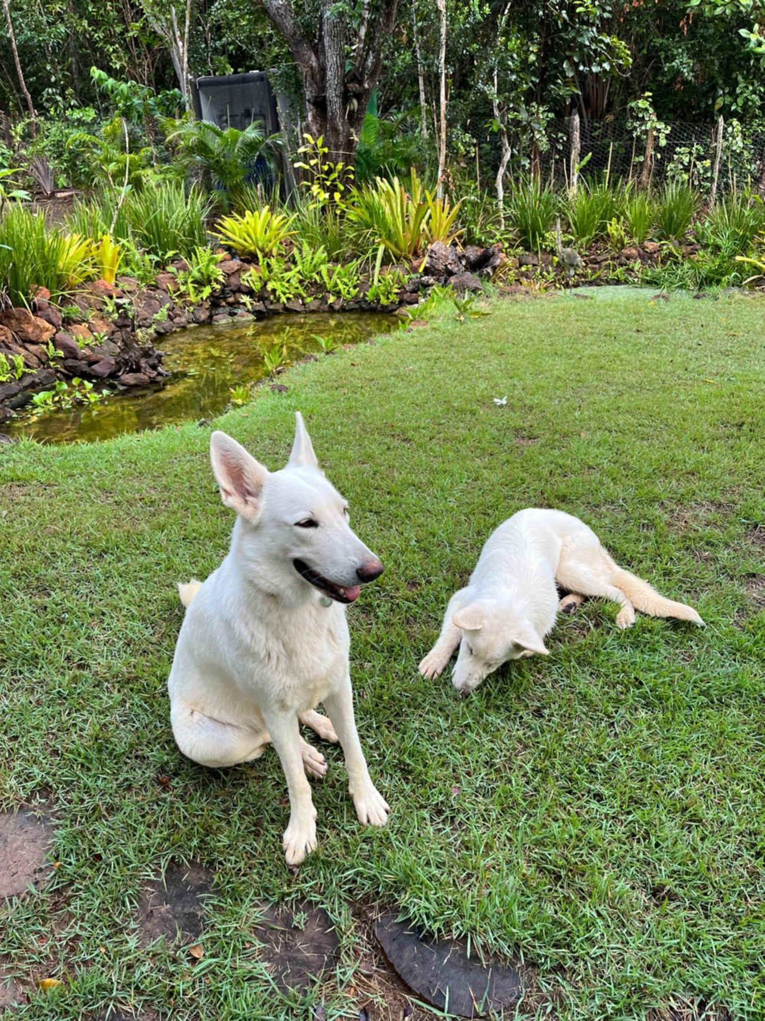 Quinta Do Sossego Mata de São João Exterior foto